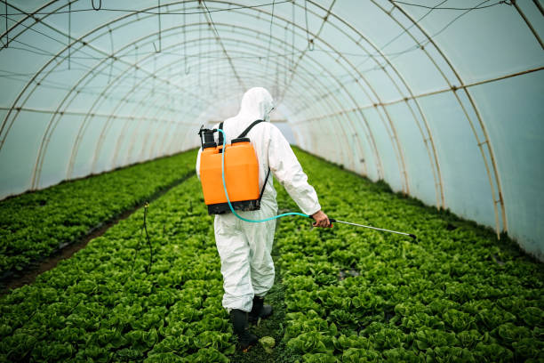 Best Pest Control Near Me in West Falmouth, MA