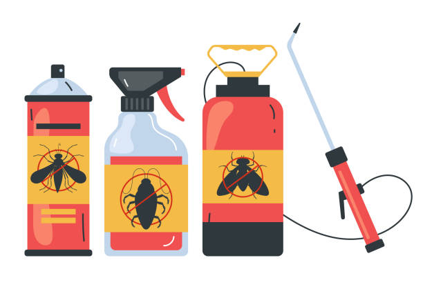 Best Wasp Removal Services  in West Falmouth, MA