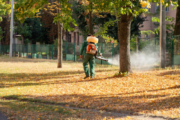 Best Pest Prevention Services  in West Falmouth, MA