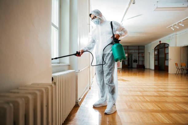 Best Local Pest Control Services  in West Falmouth, MA